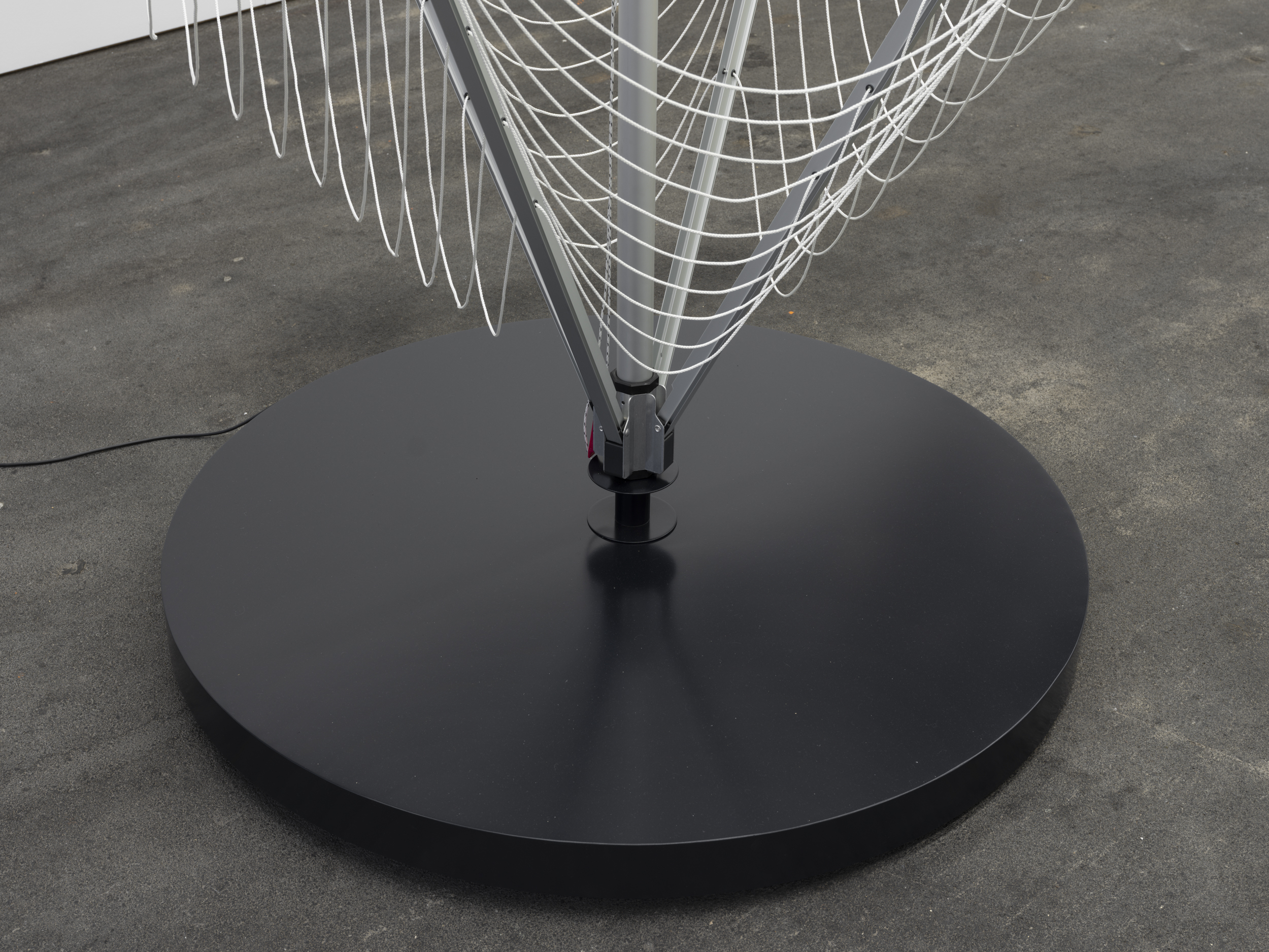 Violets, lilacs, iodine, and violence image