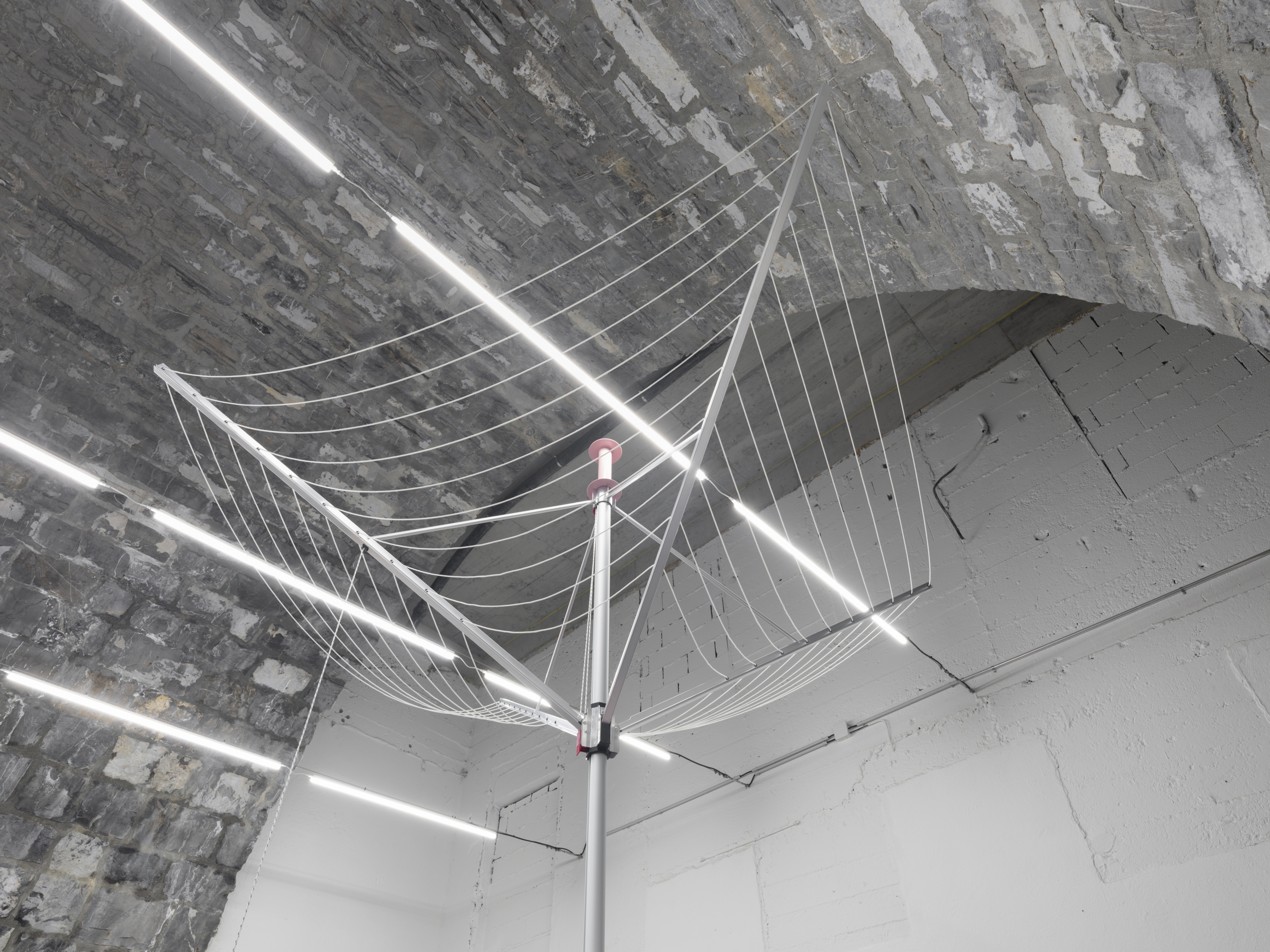 Violets, lilacs, iodine, and violence image