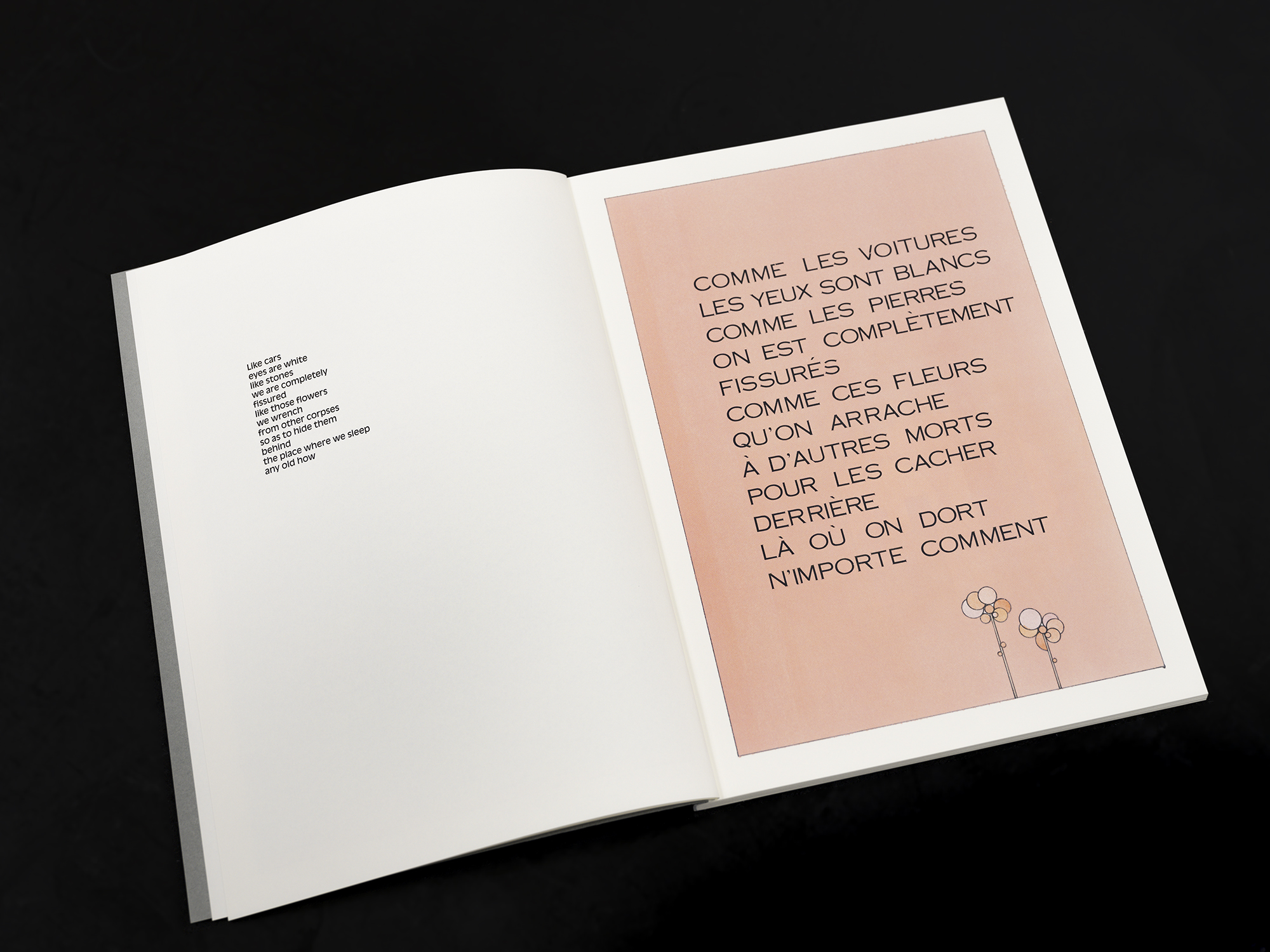 Alan Schmalz, Le Bal des estomacs (une histoire pour les enfants) image