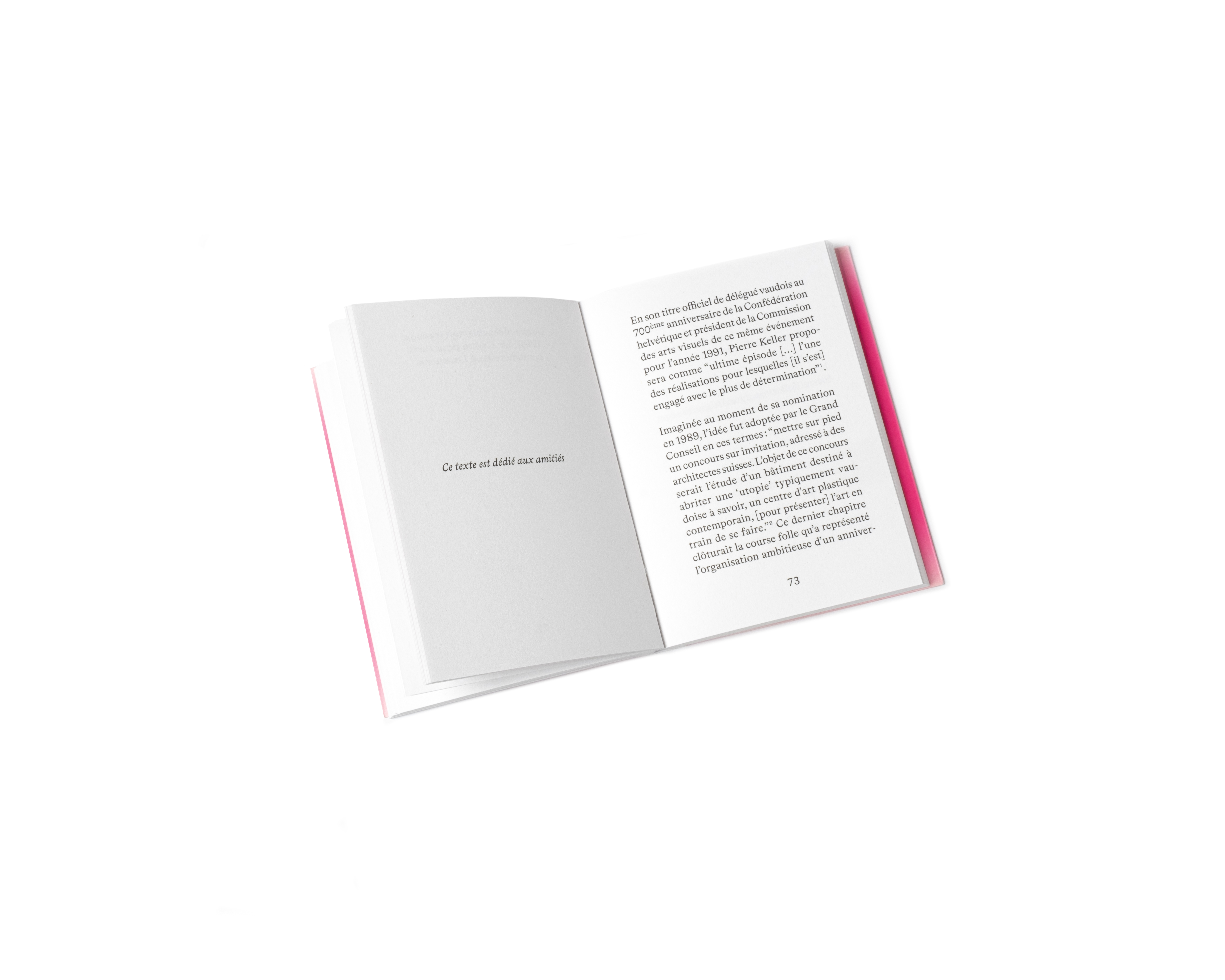 Une Kunshtalle à Lausanne. Histoires d’un serpent de mer image