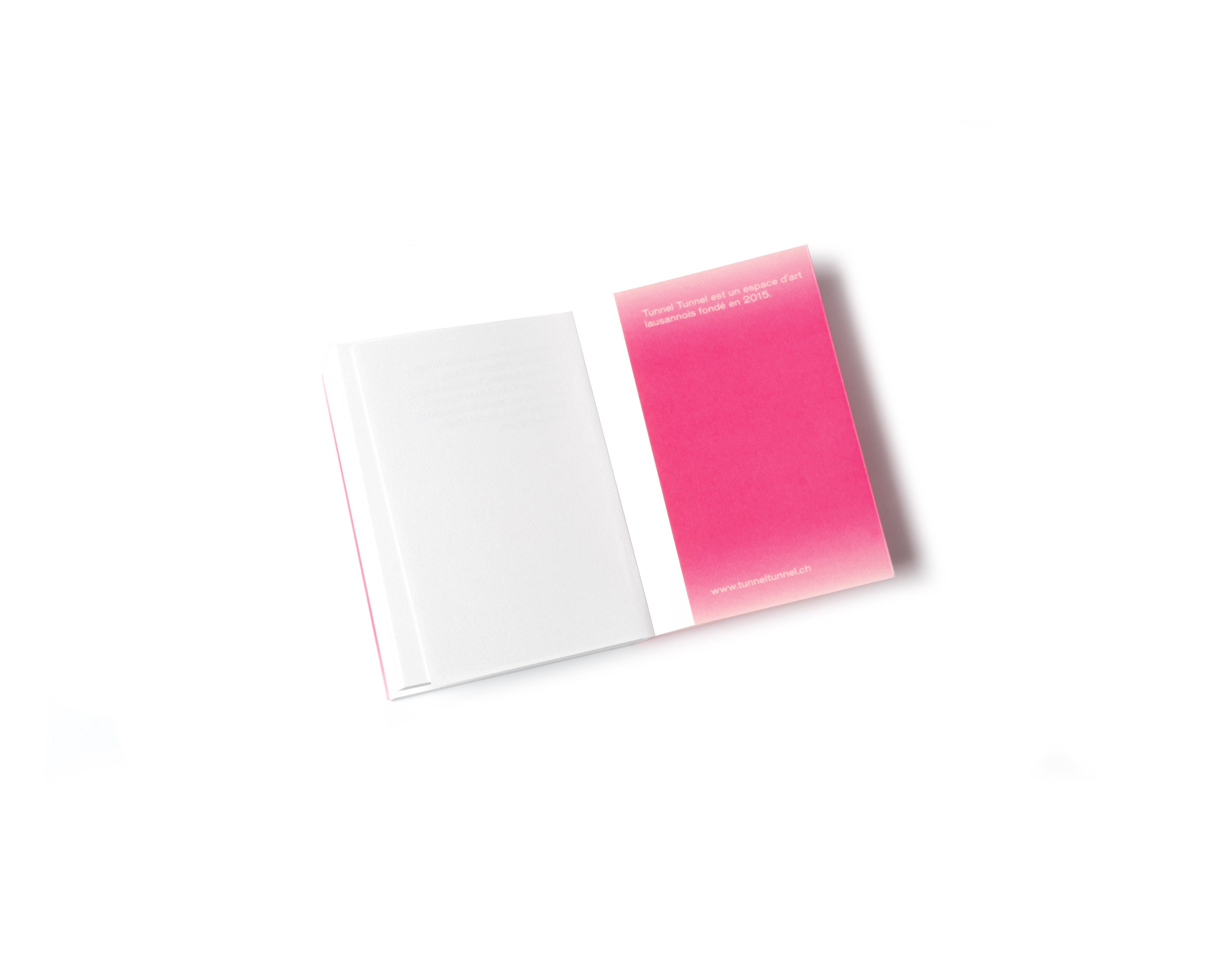 Une Kunshtalle à Lausanne. Histoires d’un serpent de mer image