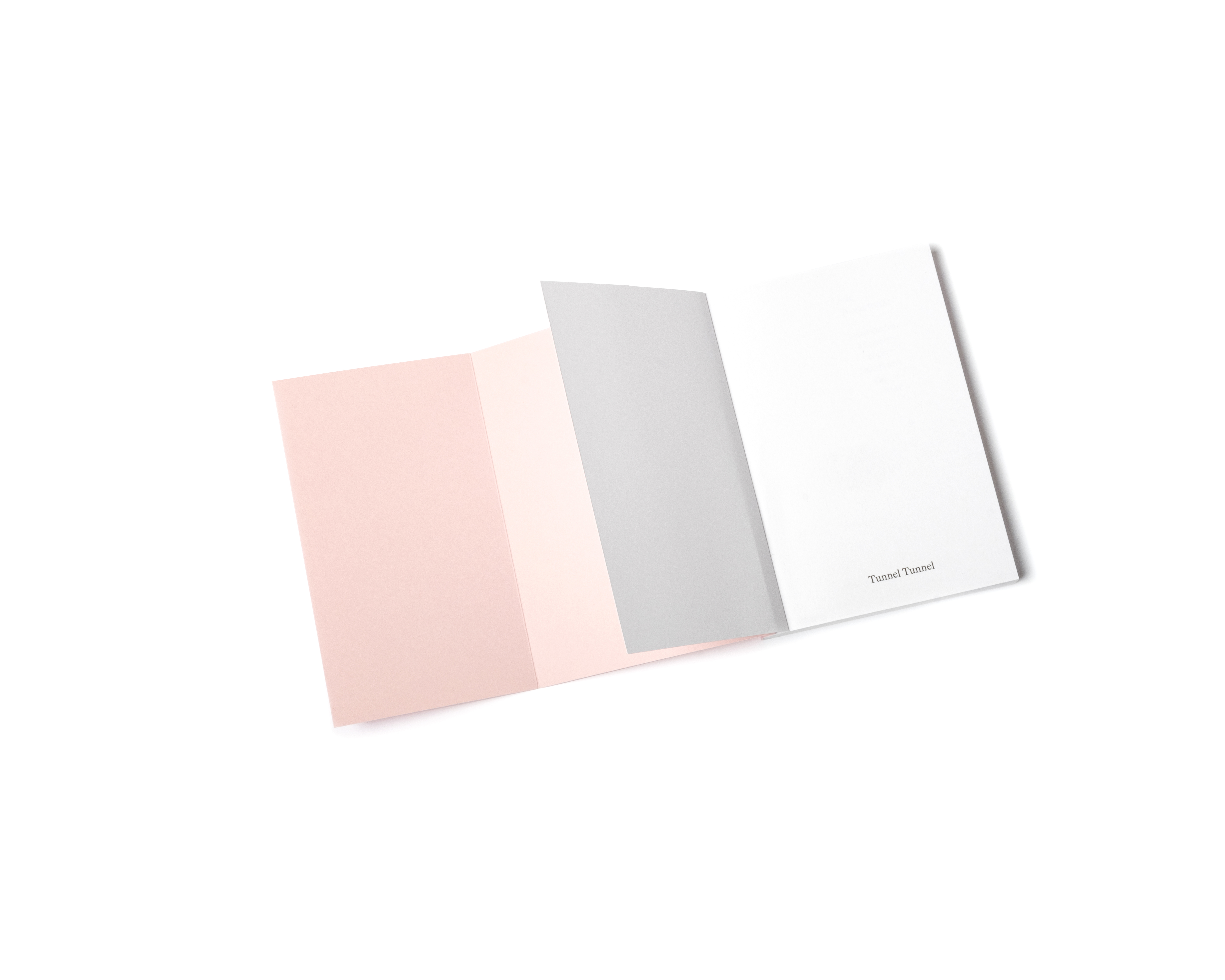 Une Kunshtalle à Lausanne. Histoires d’un serpent de mer image